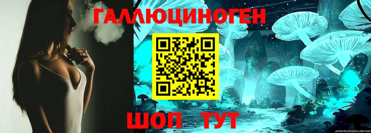 Орск  Псилоцибиновые грибы Psilocybe  Вход с VPN 